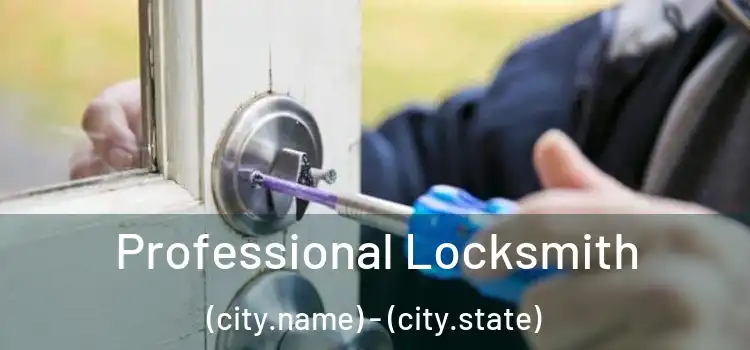 Professional Locksmith (city.name) - (city.state)